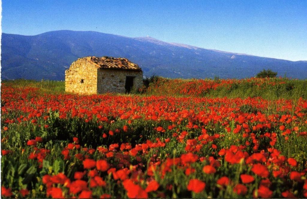 La Petite Maison Céreste Kültér fotó